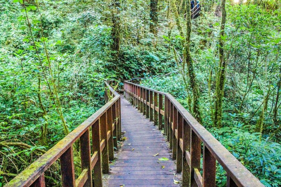 Chiang Mai: Doi Inthanon, Waterfalls, & Tribal Villages Tour - The King and Queen Pagodas and their gardens