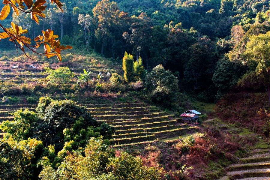 Chiang Mai: Doi Inthanon, Waterfalls, & Tribal Villages Tour - Karen and Hmong communities, markets, and coffee