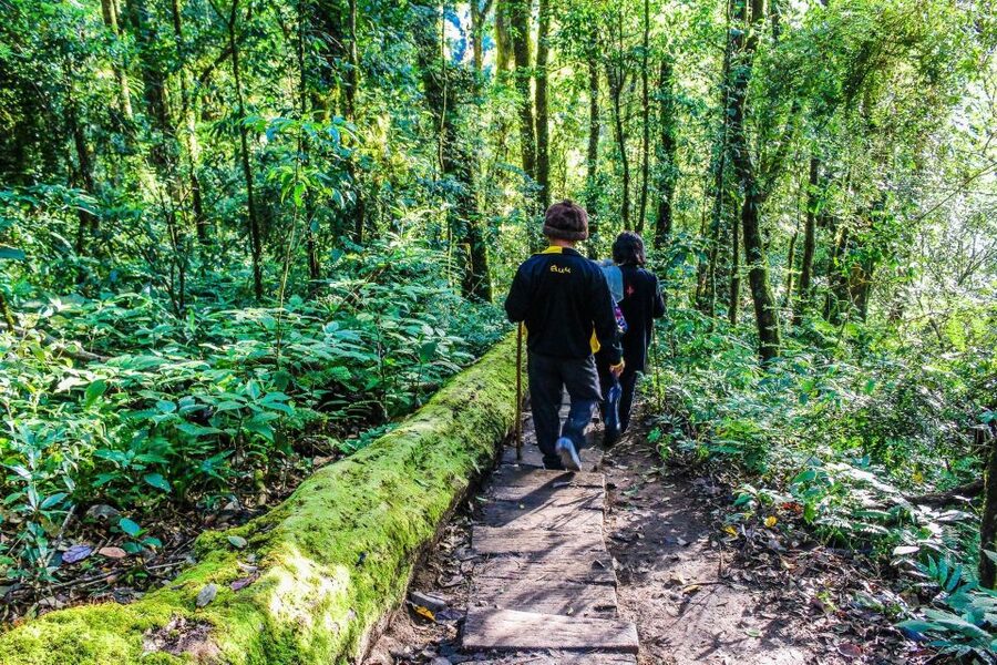 Chiang Mai: Doi Inthanon, Waterfalls, & Tribal Villages Tour - Lunch: practical, included, and not a selling point