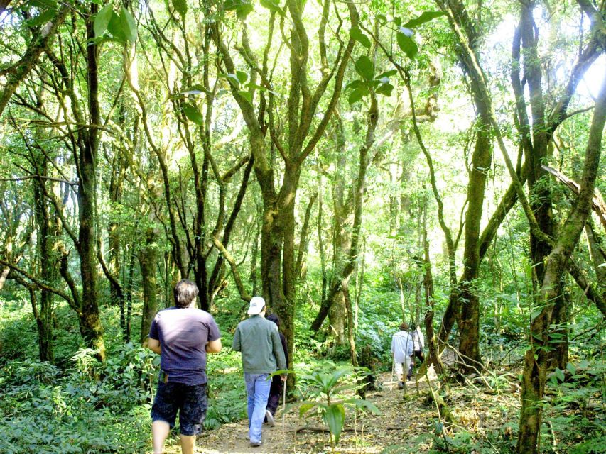 Chiang Mai: Doi Inthanon, Waterfalls, & Tribal Villages Tour - What the $36 price really covers