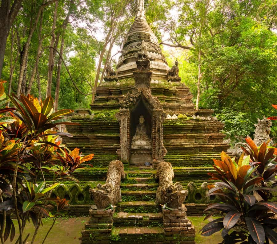 Chiang Mai: Doi Suthep Temple & Sticky Waterfall Trip - Starting from Baan Meesuk in Chiang Mai