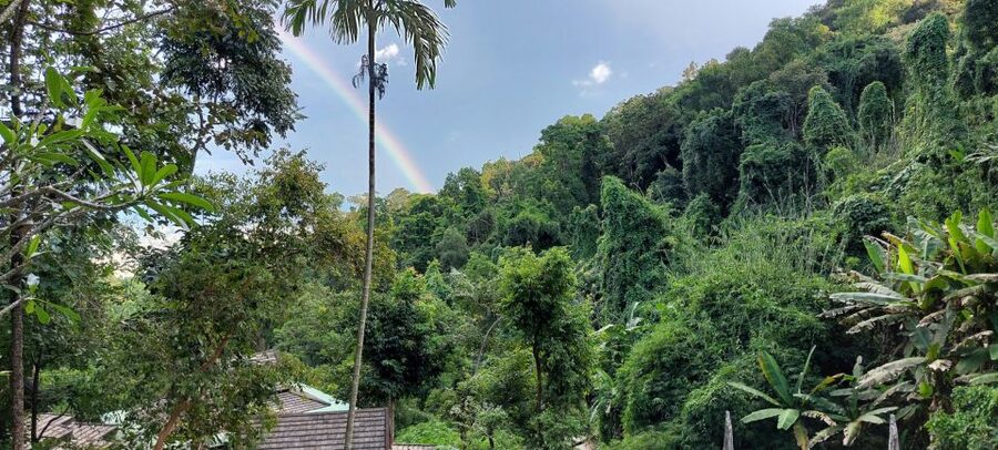 Chiang Mai: Doi Suthep Temple & Sticky Waterfall Trip - Who should book this Chiang Mai day trip?