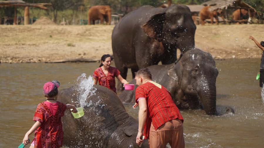 Chiang Mai: Elephant care & Long Neck &Sticky Waterfall Tour - Bua Tong Sticky Waterfall: climb the limestone face