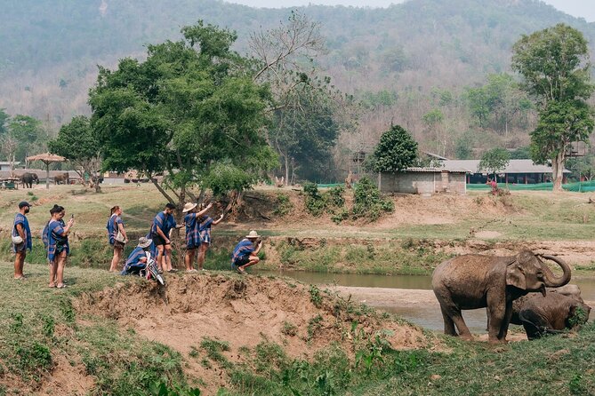 Chiang Mai Elephant Sanctuary, Bamboo Rafting and Waterfall Tour - Who should book this day?