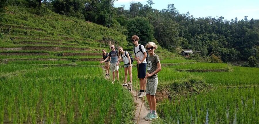 Chiang Mai: Elephant Sanctuary & Jungle Trek w/ Waterfall - Small details that make the day easier