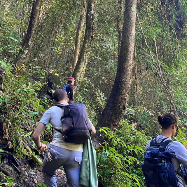 Chiang Mai: Elephant Sanctuary & Jungle Trek w/ Waterfall - Feeding and bathing elephants at the sanctuary