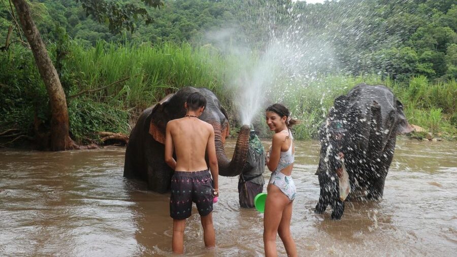 Chiang Mai: Elephant Sanctuary & Jungle Trek w/ Waterfall - What the $61 price really covers