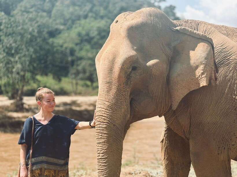 Chiang Mai: Elephant Sanctuary, Long Neck & Sticky Waterfall - Key points to know before booking