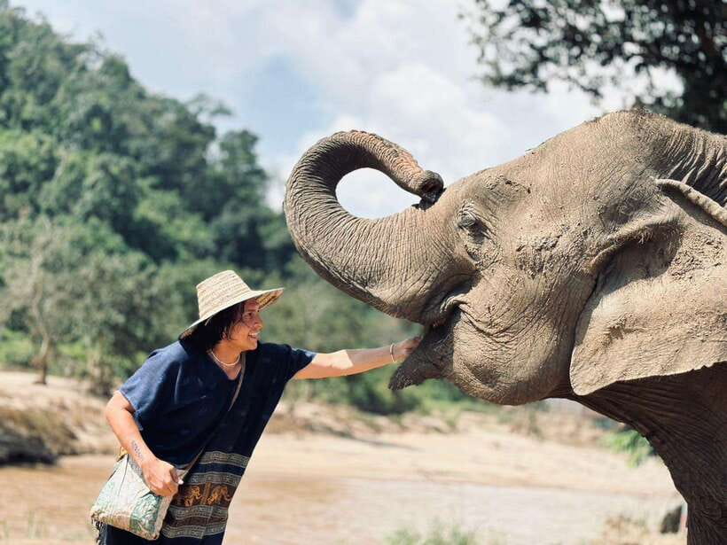 Chiang Mai: Elephant Sanctuary, Long Neck & Sticky Waterfall - A full day that covers three very different sides of Chiang Mai