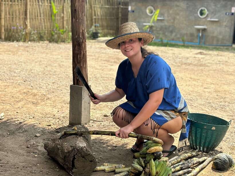 Chiang Mai: Elephant Sanctuary, Long Neck & Sticky Waterfall - Bathing the elephants in the river