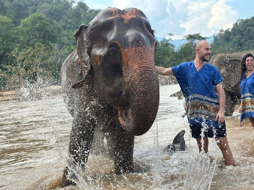 Chiang Mai: Elephant Sanctuary, Long Neck & Sticky Waterfall - A Thai lunch and the Long Neck village visit