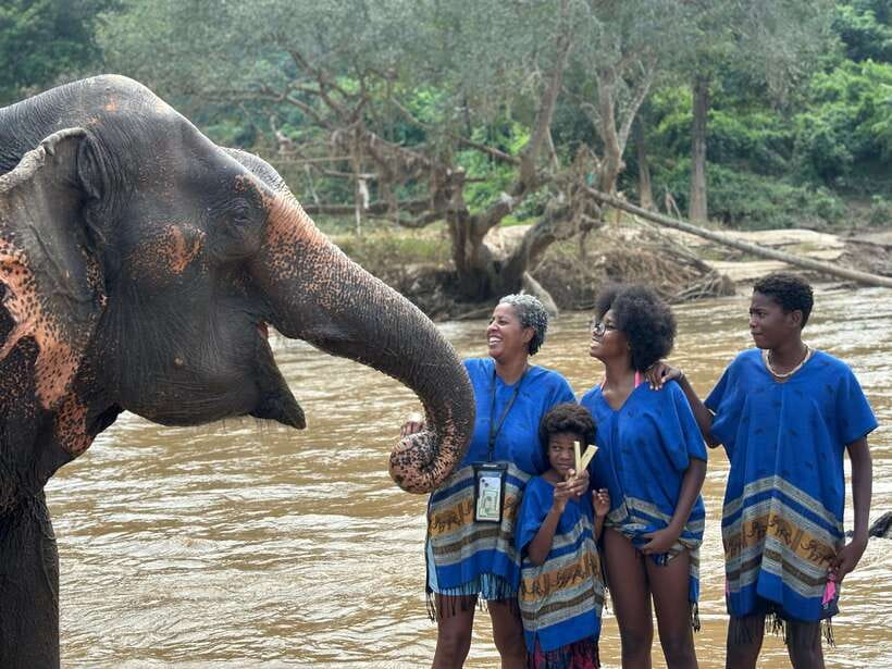 Chiang Mai: Elephant Sanctuary, Long Neck & Sticky Waterfall - Who will get the most from this $63 experience