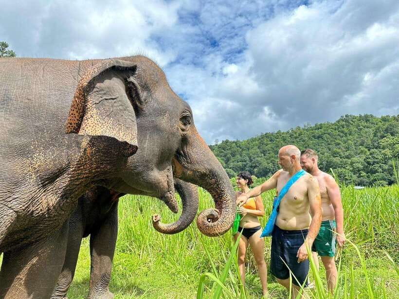 Chiang Mai: Elephant Sanctuary, Waterfall & Bamboo Rafting - Bathing with elephants at the river