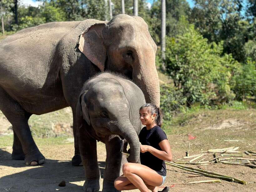 Chiang Mai: Elephant Sanctuary, Waterfall & Bamboo Rafting - Lunch and a look at local care