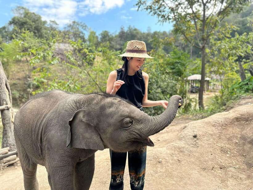 Chiang Mai: Elephant Sanctuary & Waterfall Group Tour - Small details that make the day better