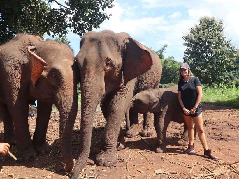Chiang Mai: Elephant Sanctuary & Waterfall Group Tour - The 80-minute ride from Chiang Mai