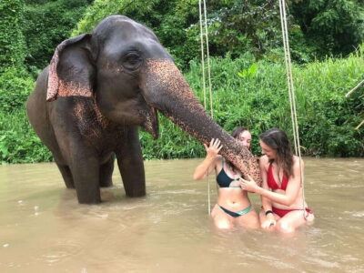 Chiang Mai: Elephant Sanctuary & Waterfall Group Tour