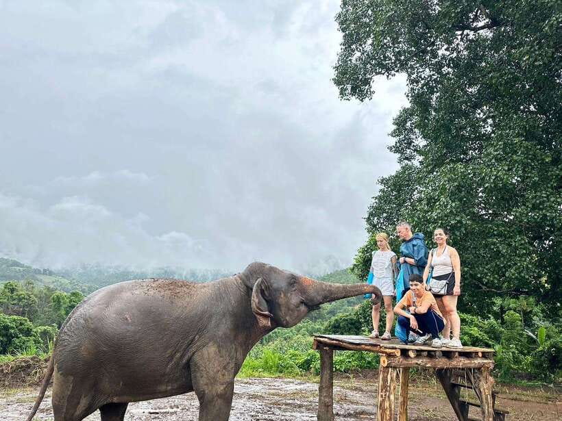 Chiang Mai: Elephant Sanctuary & Waterfall Group Tour - Cooling the elephants in the river