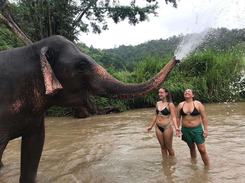 Chiang Mai: Elephant Sanctuary & Waterfall Group Tour - Thai lunch, fruit, and a well-timed break