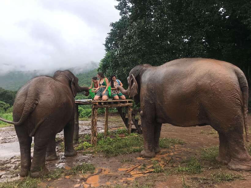 Chiang Mai: Elephant Sanctuary & Waterfall Group Tour - Hiking to Mae Wang Waterfall