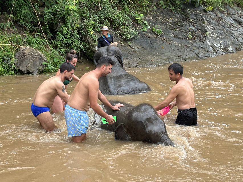 Chiang Mai: Elephant Sanctuary & Waterfall Group Tour - Is $50 good value?