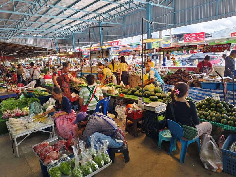 Chiang Mai: Elephants, Sticky Waterfalls, Market and Temple - Key points at a glance