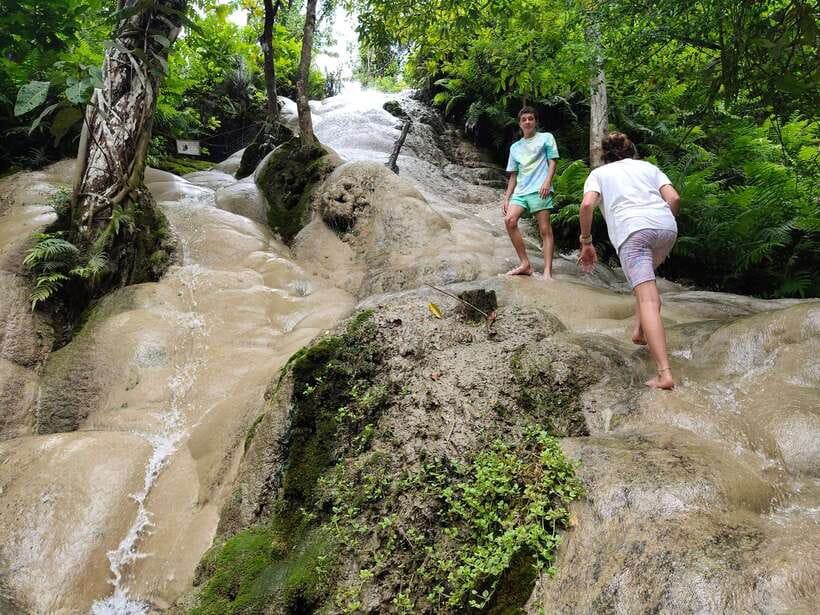 Chiang Mai: Elephants, Sticky Waterfalls, Market and Temple - Who will enjoy this tour most?