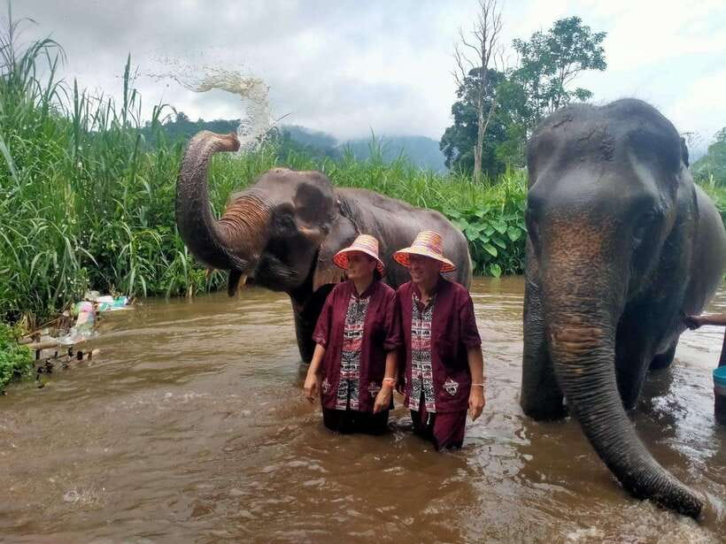 Chiang Mai: Elephants, Sticky Waterfalls, Market and Temple - Why this day works for first-time visitors to Chiang Mai