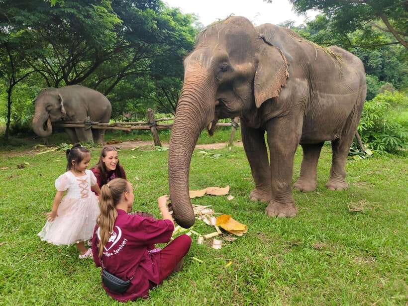 Chiang Mai: Elephants, Sticky Waterfalls, Market and Temple - A local market with insects, snacks, and everyday Thai food