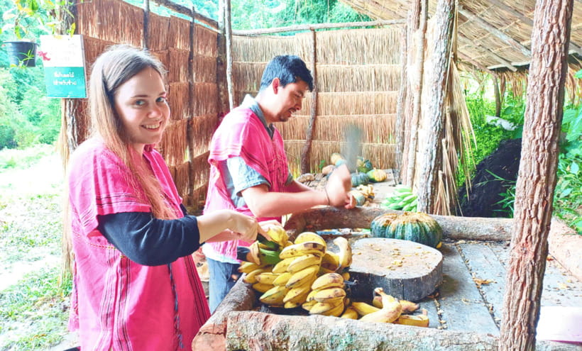 Chiang Mai: Ethical Half Day Elephant Sanctuary & Waterfall - Why the no-touch rule matters at Joy Elephant Sanctuary