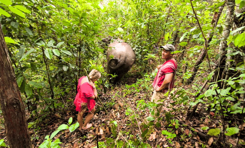 Chiang Mai: Ethical Half Day Elephant Sanctuary & Waterfall - Making a Ya Dom herbal inhaler to take home