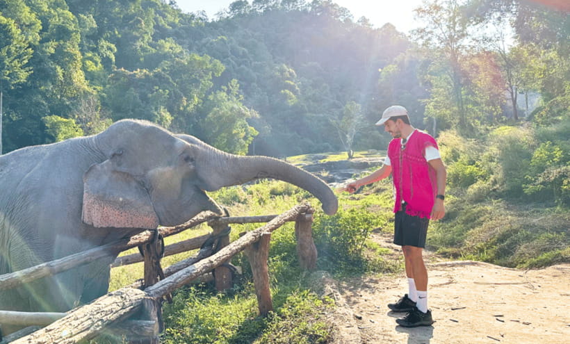 Chiang Mai: Ethical Half Day Elephant Sanctuary & Waterfall - Is $54 a fair price for seven hours?