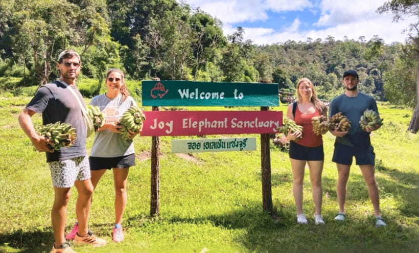 Chiang Mai: Ethical Half Day Elephant Sanctuary & Waterfall - The 1.5-hour ride from Chiang Mai to Mae Wang