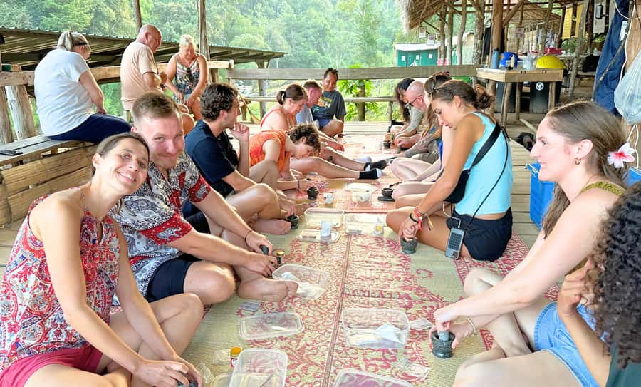 Chiang Mai: Full Day Ethical Elephant Sanctuary & Waterfall - The $70 price and what it covers