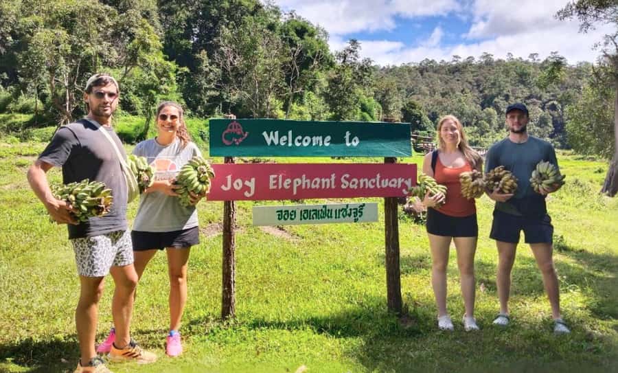 Chiang Mai: Full Day Ethical Elephant Sanctuary & Waterfall - What the morning teaches you about elephant care