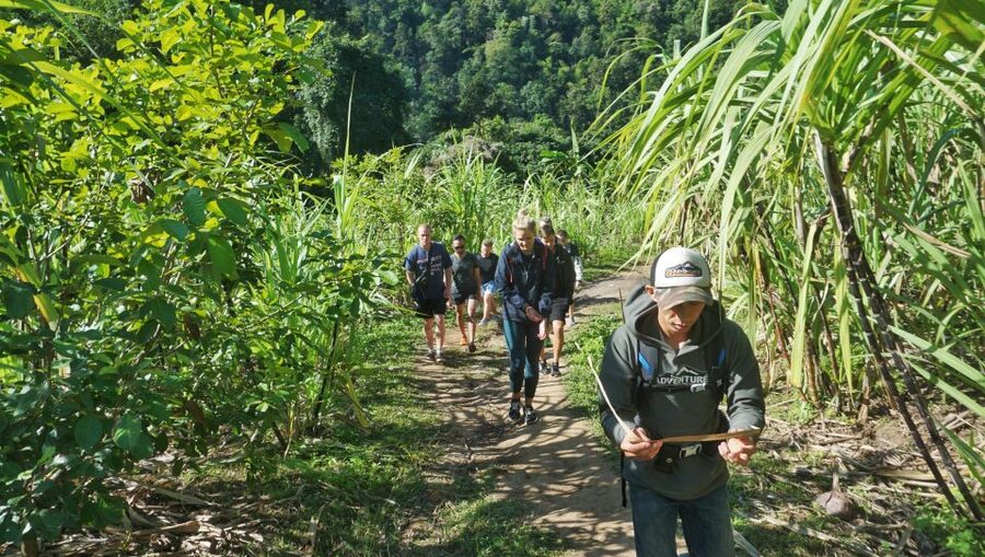 Chiang Mai: Guided Jungle and Waterfall Trek with Transfer - What the $64 price really covers