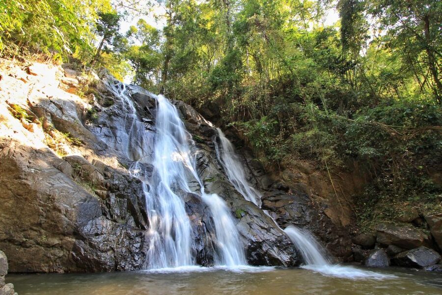 Chiang Mai: Guided Jungle and Waterfall Trek with Transfer - Should you book the Mae Taeng waterfall trek?