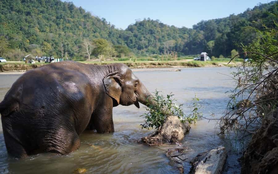 Chiang Mai Half-Day Adventure: River Tubing & Waterfall - About 1.3 hours on the Mae Taeng River