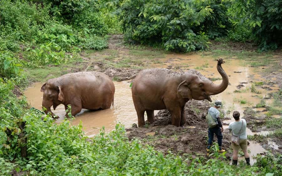 Chiang Mai Half-Day Adventure: River Tubing & Waterfall - Saa Gee Waterfall and the natural rock slide