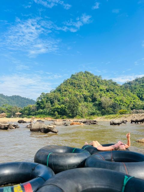Chiang Mai Half-Day Adventure: River Tubing & Waterfall - The optional elephant feeding visit