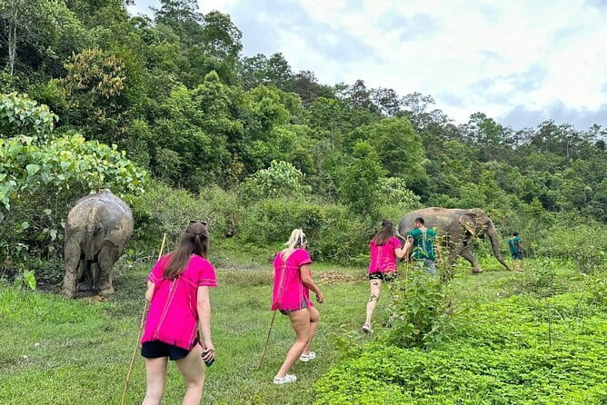 Chiang Mai Half Day Elephant Sanctuary Observation and Waterfall - Walking through forest on a steep trail