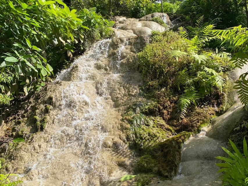 Chiang Mai Half Day Tour: Sticky Waterfall & Hotel Transfer - Key points to know before you book