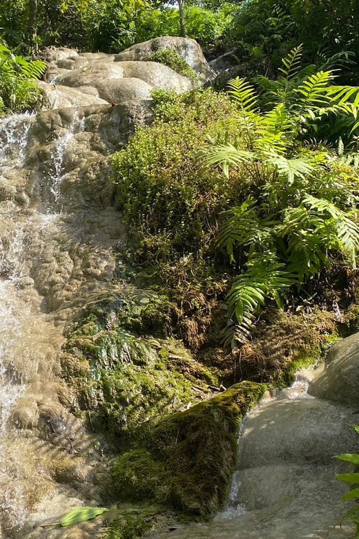 Chiang Mai Half Day Tour: Sticky Waterfall & Hotel Transfer - Climbing the falls, one level at a time