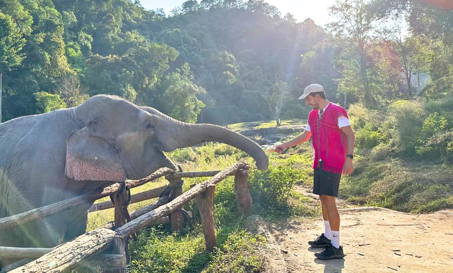 Chiang Mai: Inthanon, Ethical Elephant Sanctuary & Waterfall - Who will enjoy this day most