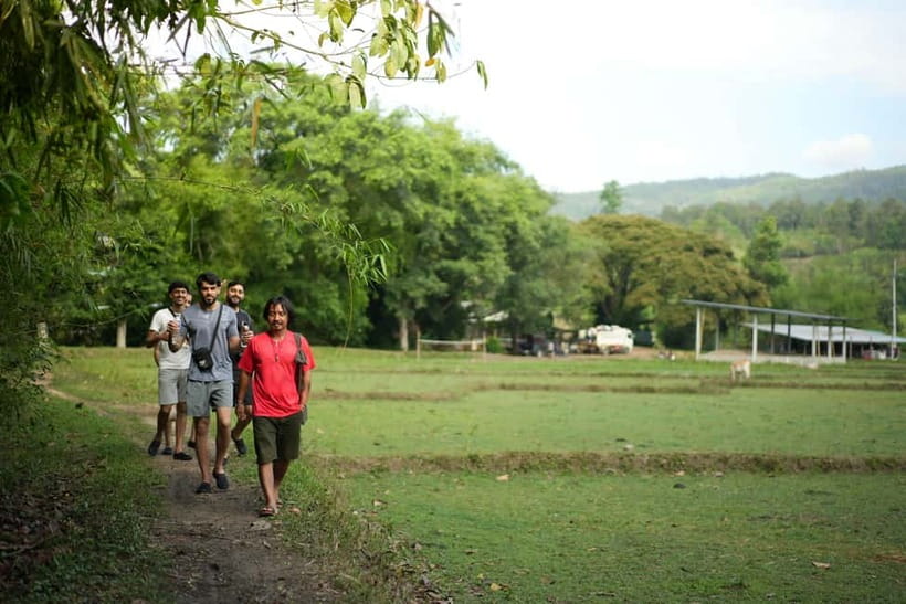 Chiang Mai: Jungle Jumbo Elephant Sanctuary with Waterfall - Meeting the elephants at Jungle Jumbo Sanctuary