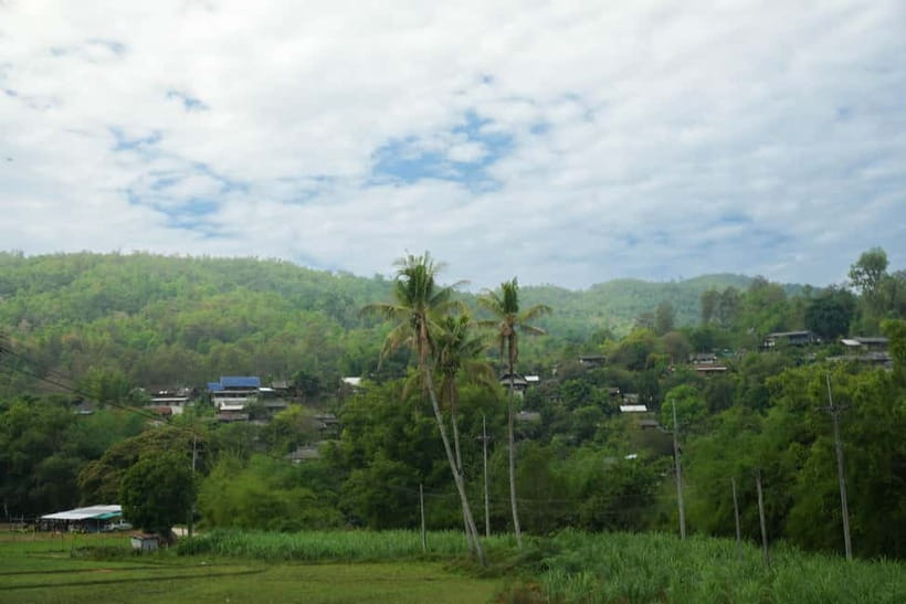 Chiang Mai: Jungle Jumbo Elephant Sanctuary with Waterfall - Should you book the Jungle Jumbo experience?