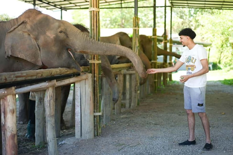 Chiang Mai: Jungle Jumbo Elephant Sanctuary with Waterfall - The traditional Thai village stop
