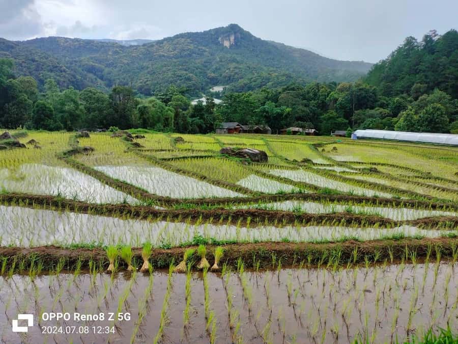 Chiang Mai: Mae Ya Waterfall & Pha Dok Siew Trail Trek - Three waterfalls, one forest walk, and a village lunch