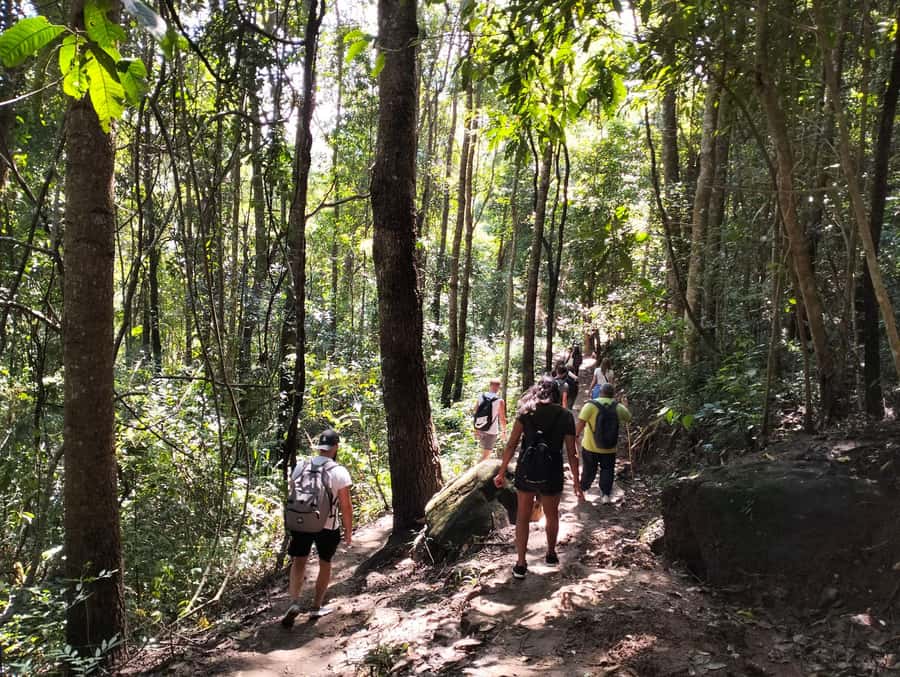 Chiang Mai: Mae Ya Waterfall & Pha Dok Siew Trail Trek - Pha Dok Siew is the heart of the day