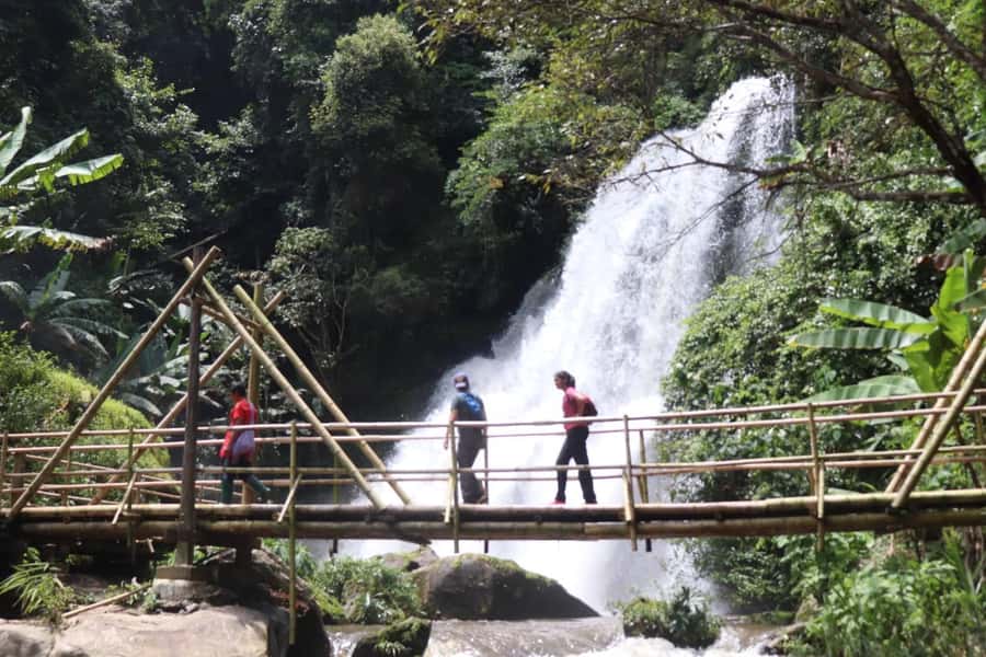 Chiang Mai: Mae Ya Waterfall & Pha Dok Siew Trail Trek - Rak Jung Waterfall offers a weather-dependent swim